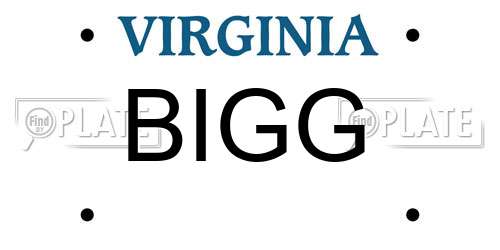 BIGG Virginia License Plate