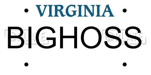 BIGHOSS Virginia License Plate