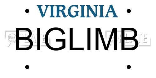 BIGLIMB Virginia License Plate