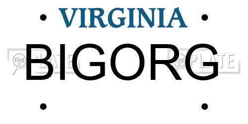 BIGORG Virginia License Plate