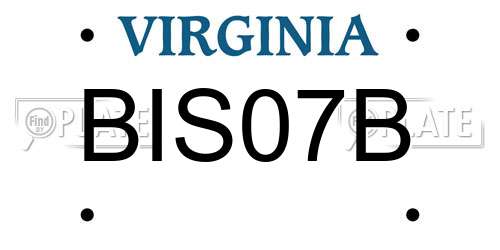 BIS07B Virginia License Plate