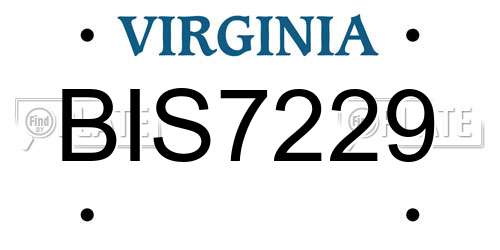 BIS7229 Virginia License Plate
