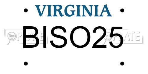 BISO25 Virginia License Plate