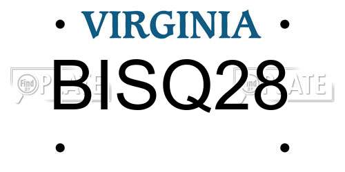 BISQ28 Virginia License Plate