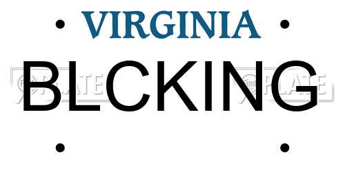 BLCKING Virginia License Plate