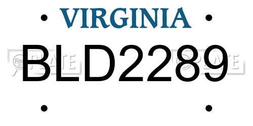 BLD2289 Virginia License Plate