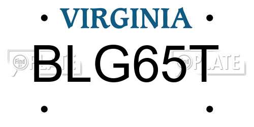 BLG65T Virginia License Plate