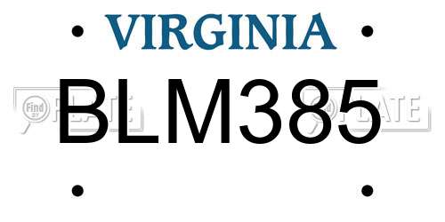 BLM385 Virginia License Plate