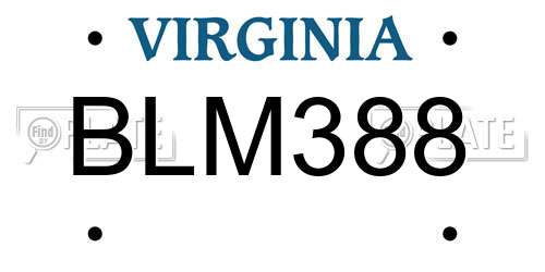 BLM388 Virginia License Plate