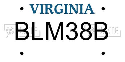 BLM38B Virginia License Plate