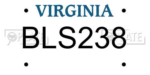 BLS238 Virginia License Plate