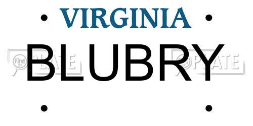 BLUBRY Virginia License Plate