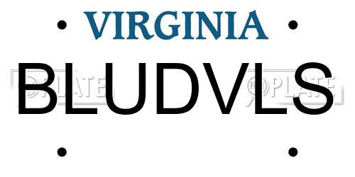 BLUDVLS Virginia License Plate