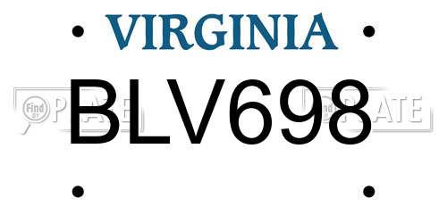 BLV698 Virginia License Plate