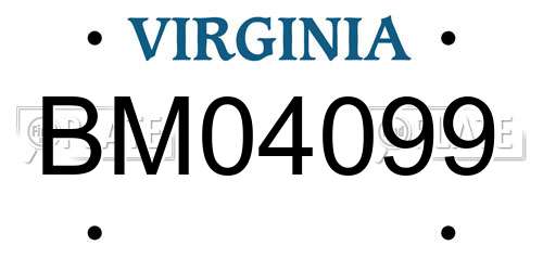 BM04099 Virginia License Plate
