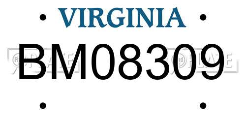 BM08309 Virginia License Plate