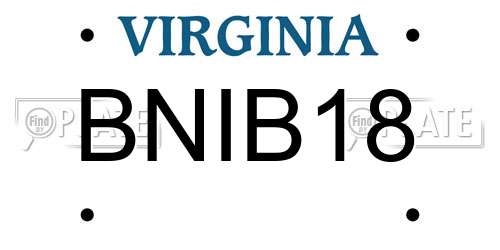 BNIB18 Virginia License Plate