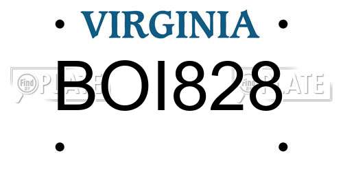 BOI828 Virginia License Plate