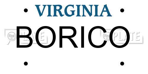 BORICO Virginia License Plate
