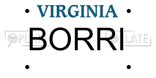 BORRI Virginia License Plate