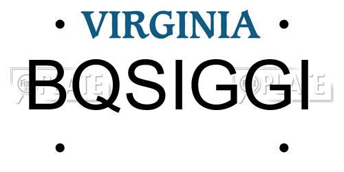 BQSIGGI Virginia License Plate