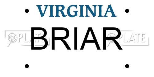 BRIAR Virginia License Plate