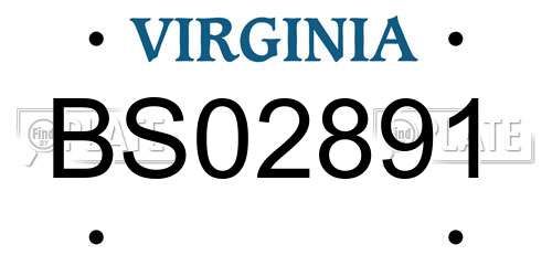 BS02891 Virginia License Plate
