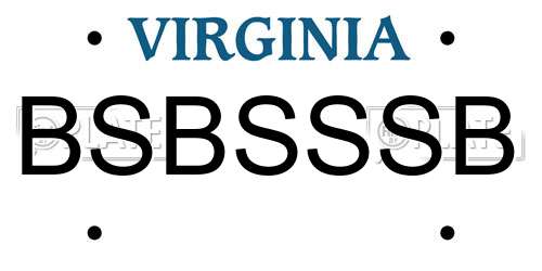BSBSSSB Virginia License Plate