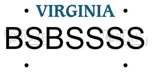 BSBSSSS Virginia License Plate