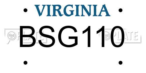 BSG110 Virginia License Plate