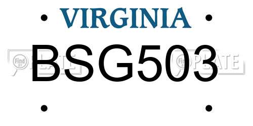 BSG503 Virginia License Plate
