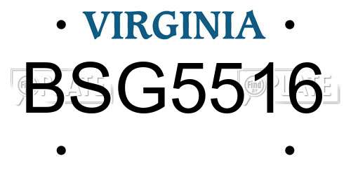 BSG5516 Virginia License Plate