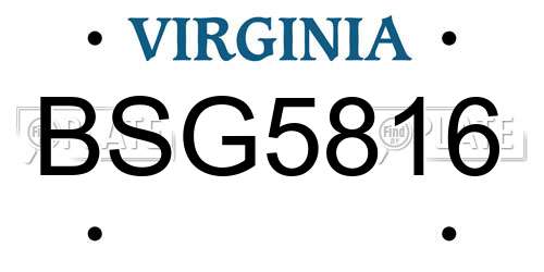 BSG5816 Virginia License Plate
