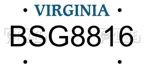 BSG8816 Virginia License Plate