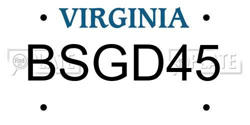 BSGD45 Virginia License Plate
