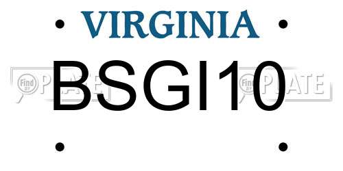 BSGI10 Virginia License Plate