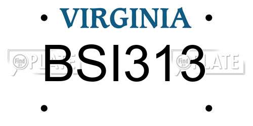 BSI313 Virginia License Plate