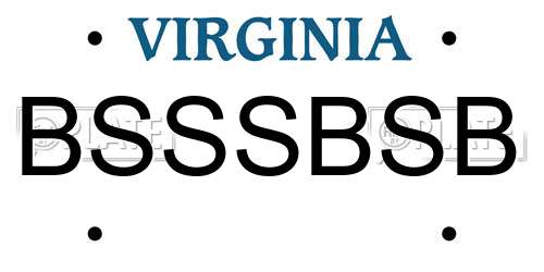 BSSSBSB Virginia License Plate
