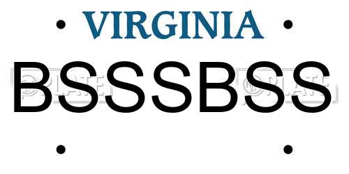BSSSBSS Virginia License Plate
