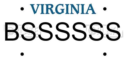 BSSSSSS Virginia License Plate