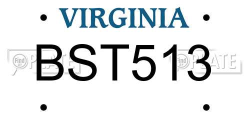 BST513 Virginia License Plate