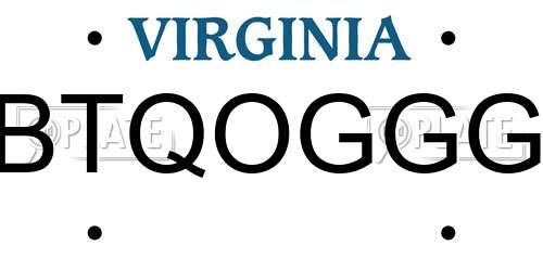BTQOGGG Virginia License Plate