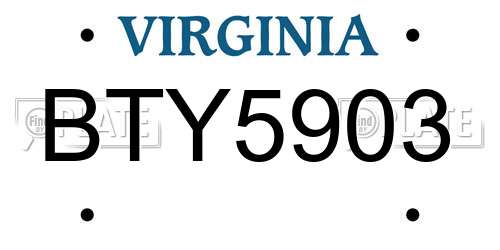 BTY5903 Virginia License Plate