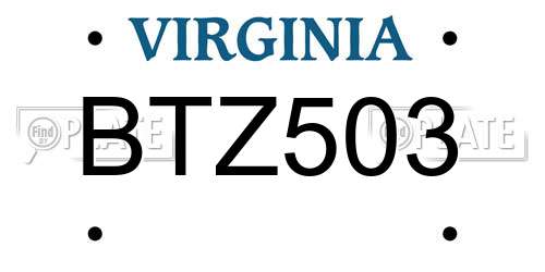 BTZ503 Virginia License Plate