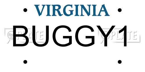 BUGGY1 Virginia License Plate