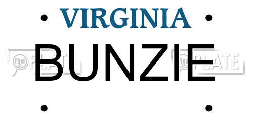 BUNZIE Virginia License Plate