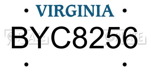 BYC8256 Virginia License Plate