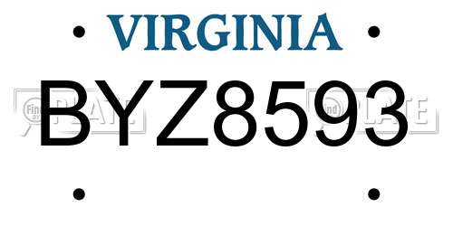 BYZ8593 Virginia License Plate