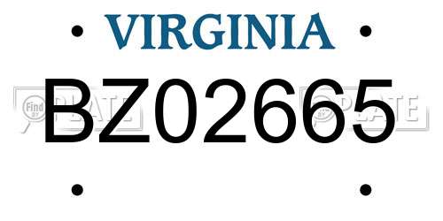 BZ02665 Virginia License Plate