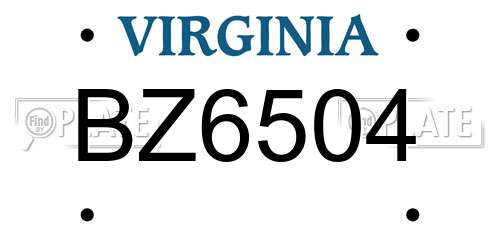 BZ6504 Virginia License Plate